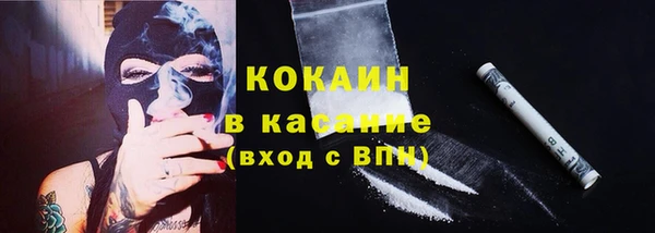 дживик Богданович