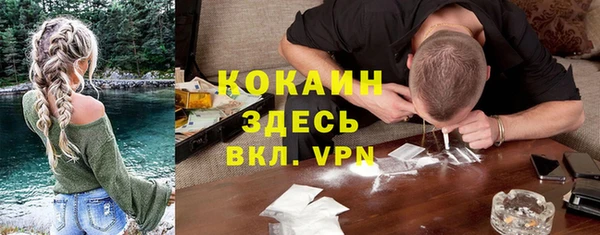 дживик Богданович