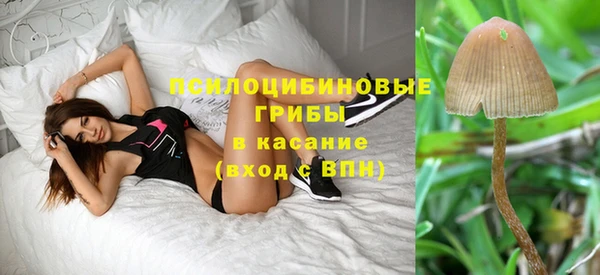 дживик Богданович
