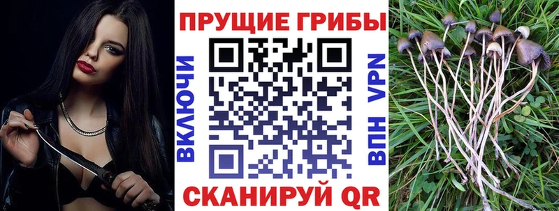 Псилоцибиновые грибы Psilocybine cubensis  где найти наркотики  Южно-Сухокумск 